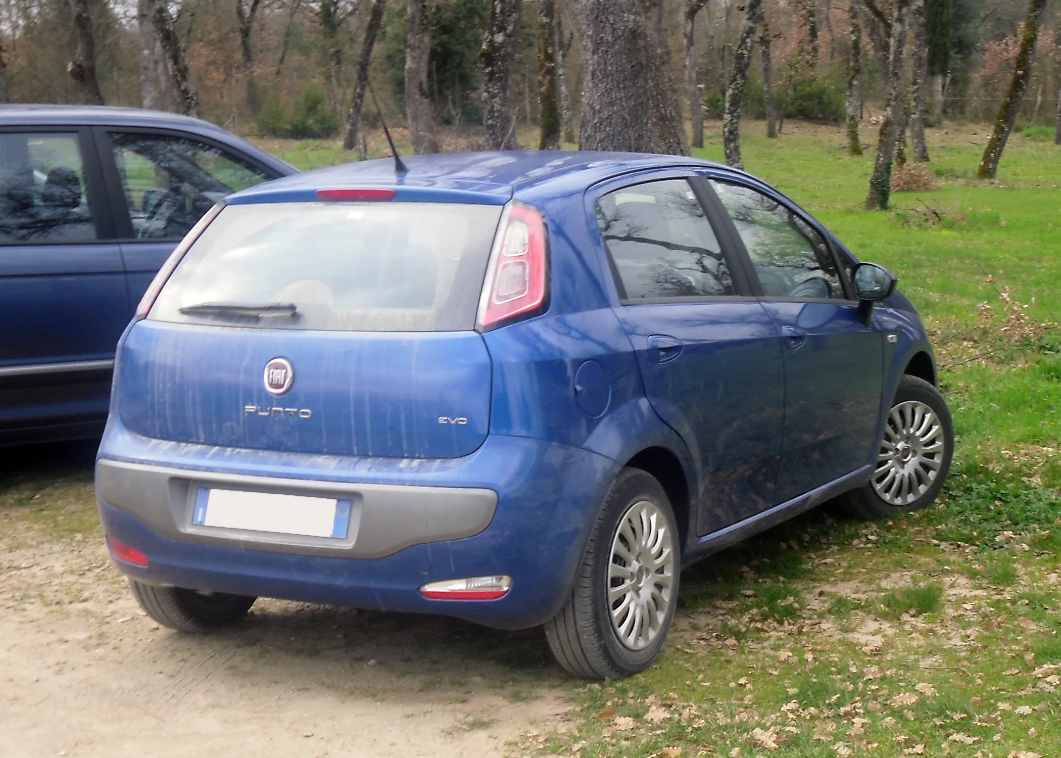 Fiat Punto III