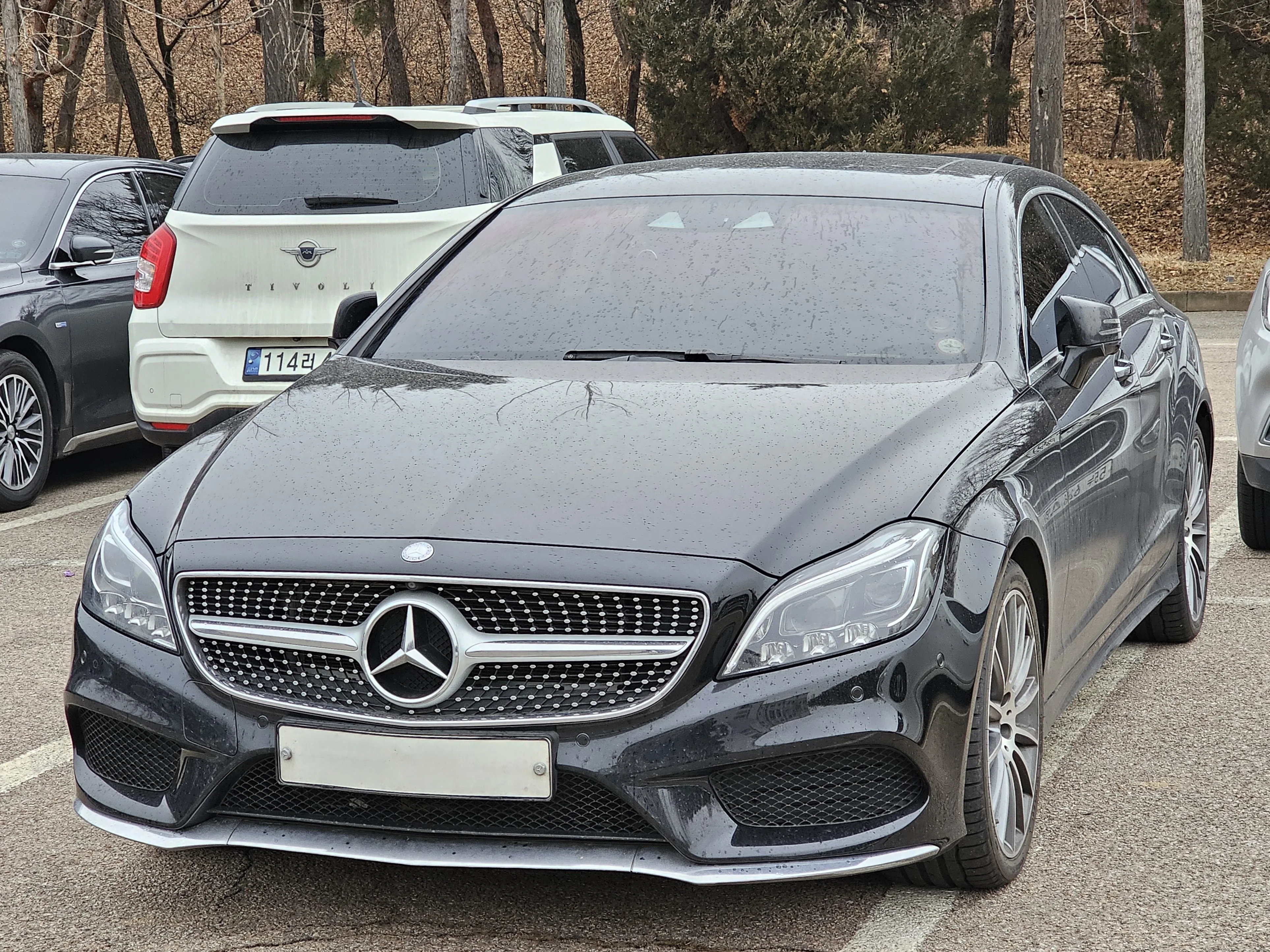 Facelift (2014)